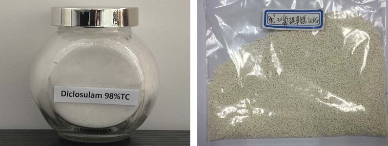 Diclosulam2张产品附图795-300