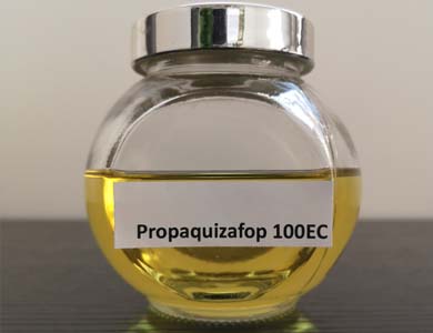 PropaquizaFop1张产品附图390-300