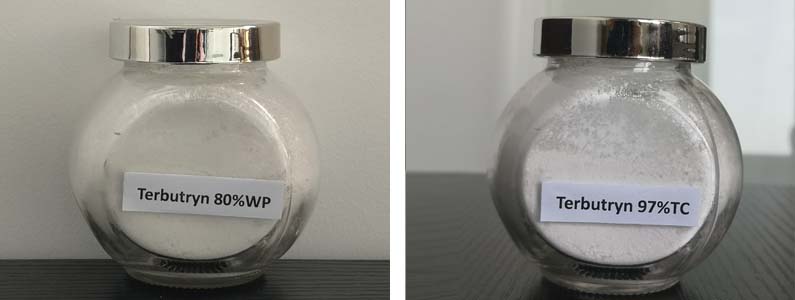 Terbutryn2张产品附图795-300