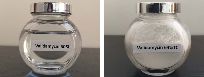 Valivamycin2张产品附图795-300