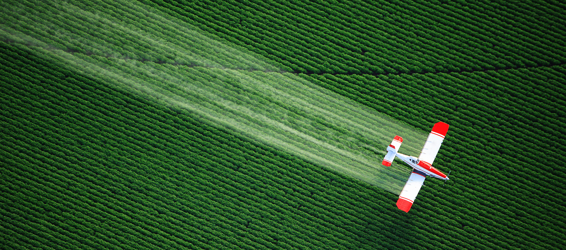 Insecticide, Fungicide, Herbicide, Acaricide, Plant growth regulator