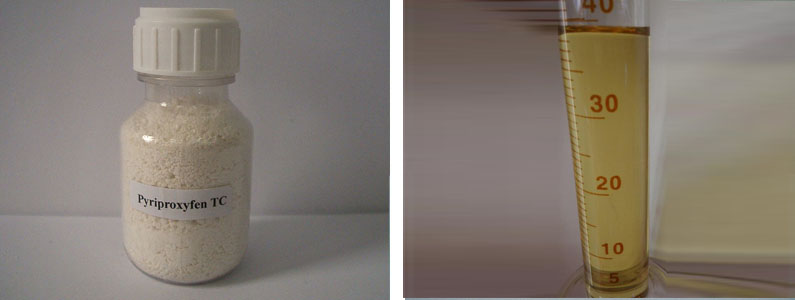 Pyriproxyfen-2张产品组图795-300