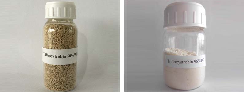 Trifloxystrobin2张产品附图795-300