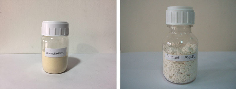 Bromacil 2张产品附图795-300