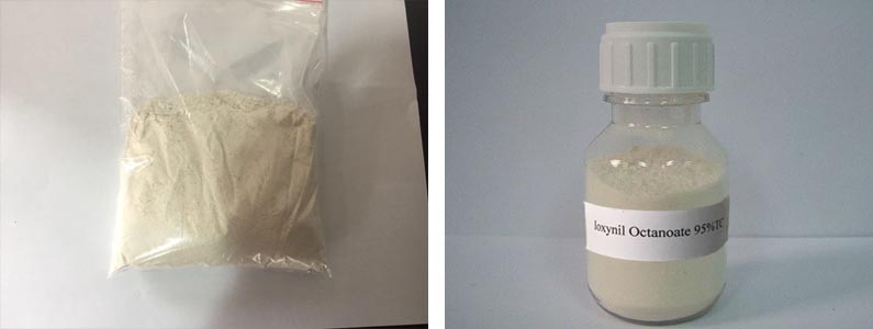 Ioxynil Octanoate2张产品附图795-300