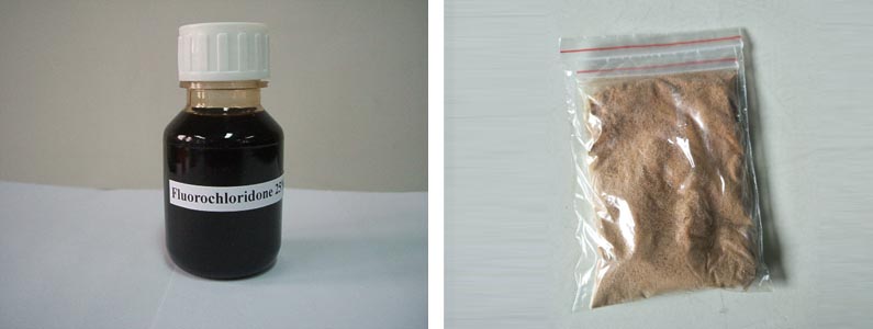 氟氯甲酮2张产品图795-300