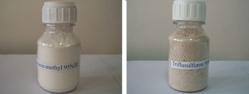 Triflusulfuron-methyl2张产品附图795-300