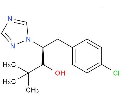 帕斯洛替腊罗