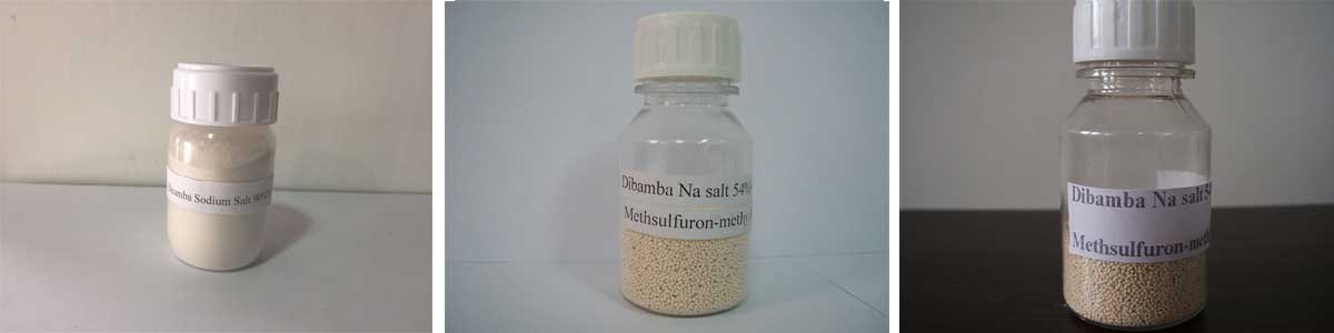Dicamba 3个产品