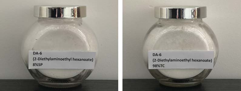 DA-62张产品附图795-300