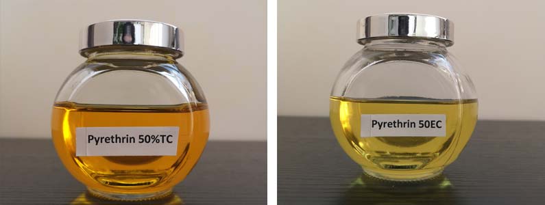 Pyrethrin2张产品附图795-300