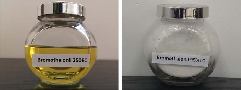 Bromothalonil2张产品图795-300
