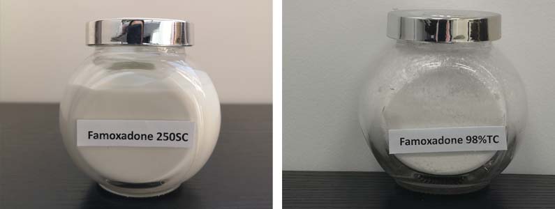 Famoxadone2张产品附图795-300